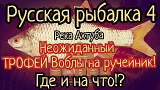 РР4. Шел за Колюшкой Южной а попался ТРОФЕЙ Воблы на реке Ахтуба!