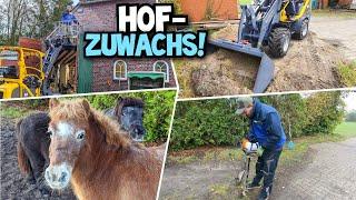 SCHNELL EINEN STALL BAUEN! | HOFZUWACHS kommt! | HALS ÜBER KOPF! | Mr. Moto