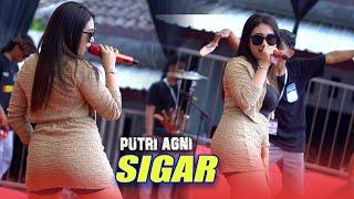 SIGAR PUTRI AGNI ONE PRO LIVE PEMUDA GUNUNG SARI UMBUL BANYUWANGI