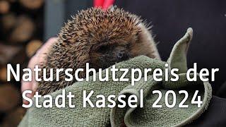 Naturschutzpreis Kassel 2024 – Engagement für die kleinsten Gartenbewohner