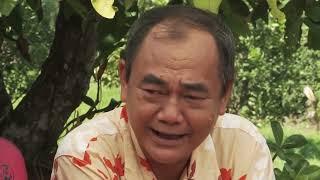 HTV7   Tết tết tết   Tập 5  Phim Tết Việt Nam vui nhộn