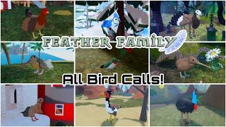 All Feather Family Bird Calls (May 2024)