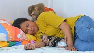 Adorable Daughter Luna And Valen Plays And Grooming Mom