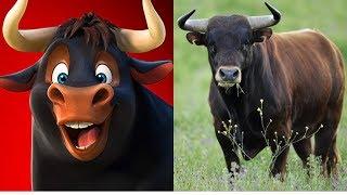 Ferdinand Characters in Real Life