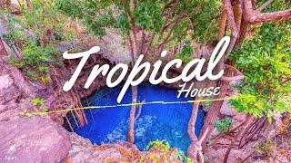 Faos -  Alba - Tropical House    (  Música sin copyright )  música sin copyright para YouTube