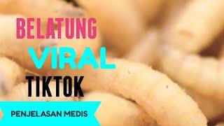 VIDEO BELATUNG VIRAL DI TIKTOK!!, PENJELASAN MEDIS .