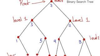 Binary Search Tree  - Terminology (Discrete Maths)