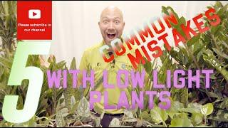 5 common mistakes with low light plants