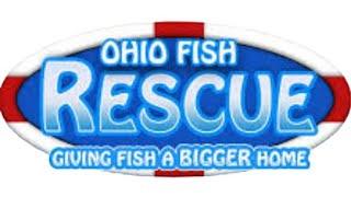 Scālz Aquarium Adventures - My Yearly Visit to Ohio Fish Rescue 2023