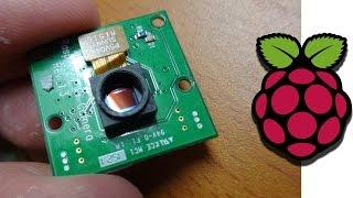 Macro Photography with the Raspberry Pi Camera Module