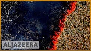 Amazon burning: Brazil reports record surge in forest fires