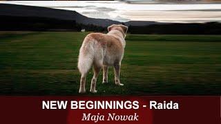 RAIDA - New Beginnings - von Maja Nowak