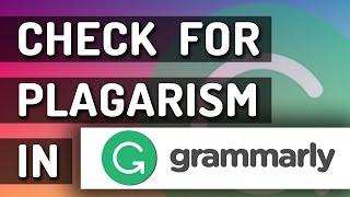 How To Check For Plagiarism in Grammarly & Is It Any Good?