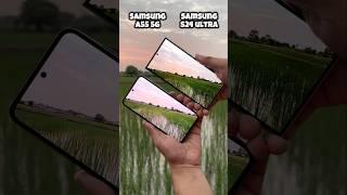 Samsung A55 5g vs Samsung S24 Ultra Camera Test #samsung #samsunga55 #s24ultra #shorts