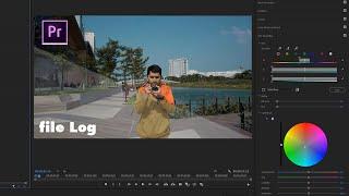 sangat mudah color grading file S-log, F-Log, C-Log di premiere pro | sekali nonton langsung bisa