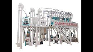 30-50ton maize flour milling plant