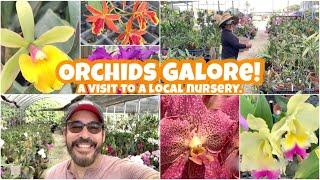 UNEXPECTED NURSERY VISIT! I found some amazing orchids at a local orchid and plant nursery. 3/3/2022