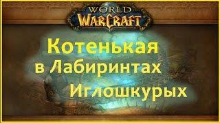 История подземелий WoW - Лабиринты Иглошкурых