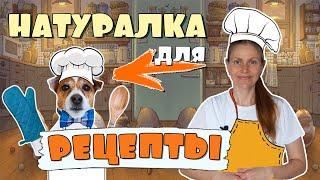 NATURAL FOOD for dogs / RECIPES for dogs for every day Homemade dog food recipes