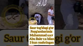 Saur g'ori #uzbekkino #shortvideos #viralvideos #uzbekfilm #shorts