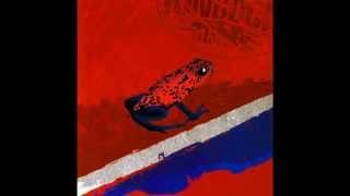 Frog Prog - Kingdom Come