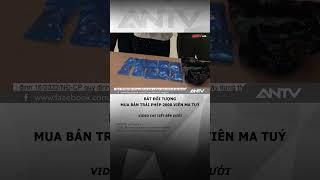 'Nữ quái' 8x mua bán 2.000 viên ma túy tổng hợp #antv #shorts #tintuc #matuy #dienbien