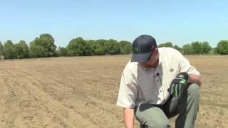 Dry Land Corn: Germination