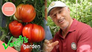 Vasili Meets A Fellow Greek Gardener | Full Episode | Vasili's Garden