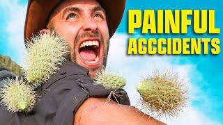 Accidents Do Happen! - Cactus Attack, Cliff Fall, Venomous Bites, and more!