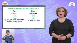 4-класс | Русский язык | Родительный и предложный падежи имён прилагательных во множественном числе