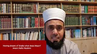 Having Dream of Snake what does mean,  English Talk by Imam Hashmi