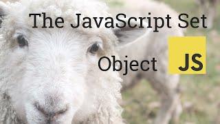 Learn the Incredibly Helpful but Often Overlooked JavaScript Set Object