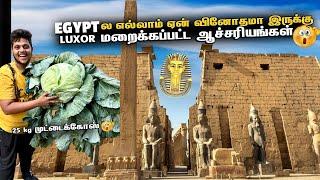 EGYPT ல எல்லாமே வினோதமா இருக்கு | LUXOR VALLY OF KINGS | Egypt Ep 5