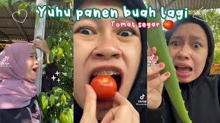 TIKTOK PINAT PANEN BUAH🪴