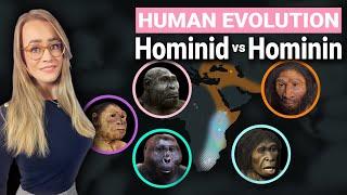 Human Evolution Explained | Hominid & Hominin Difference