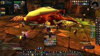 Season of Discovery | Blackwing Lair PuG | Vaelastrasz the Corrupt | Holy Paladin PoV | 2K