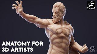 Anatomy for 3D Artists: From Sculpting to 3D Print