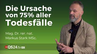 Von der stillen Entzündung zur chronischen Erkrankung | Mag. Dr. rer. nat. Markus Stark MSc. | QS24