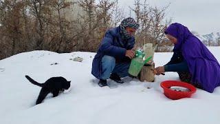 Cooking Carrot and Rice Village Life Afghanistan | Village Food