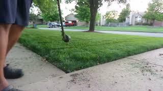 Front Yard Evening Mow Video 2