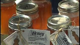 The Honey Files - A Bee's Life.