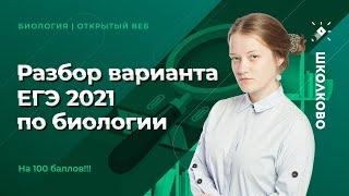 Разбор варианта ЕГЭ 2021 по биологии на 100 баллов