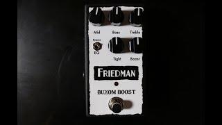 Friedman Buxom Boost Pedal Video Demo by Shawn Tubbs