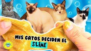 Haciendo SLIME por primera vez! PRUEBO RECETAS de mis seguidores con mis GATOS los Diverticats! 