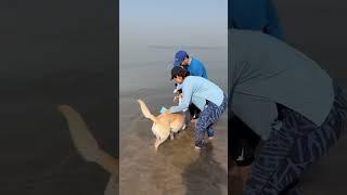 Beach day with family | Beach Baby | Family time| #mybabygirl #babygirl #cutebaby #mydog #love #cute