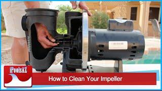 Swimming Pool Service Tip: Unclogging Your Impeller