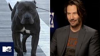 John Wick: Chapter 2| Keanu Reeves Reveals Dog's Name | MTV Movies