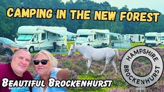 Motorhome Adventures in the New Forest: A Relaxing Visit to Brockenhurst | Part 2