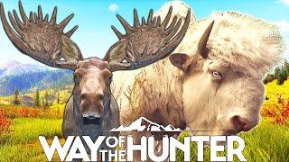 Aurora Shores High Fitness Hunt | Way of the Hunter