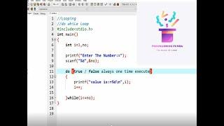 Do While Loop in C Language | Programming Funda